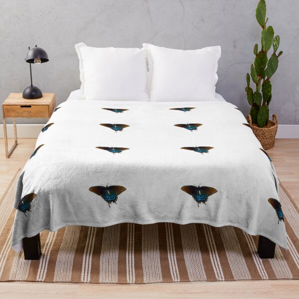 Item preview, Black Swallowtail  Papilio polyxenes butterfly designed and sold by annasofia.
