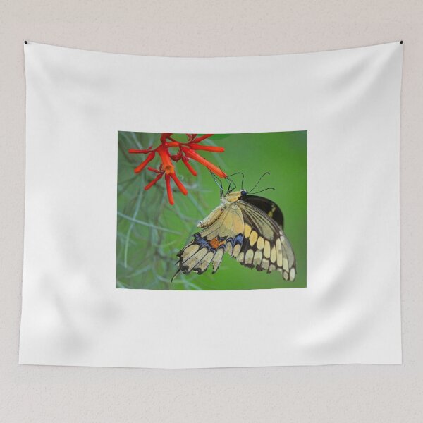 Item preview, Giant Swallowtail Butterfly designed and sold by Anthony Goldman.