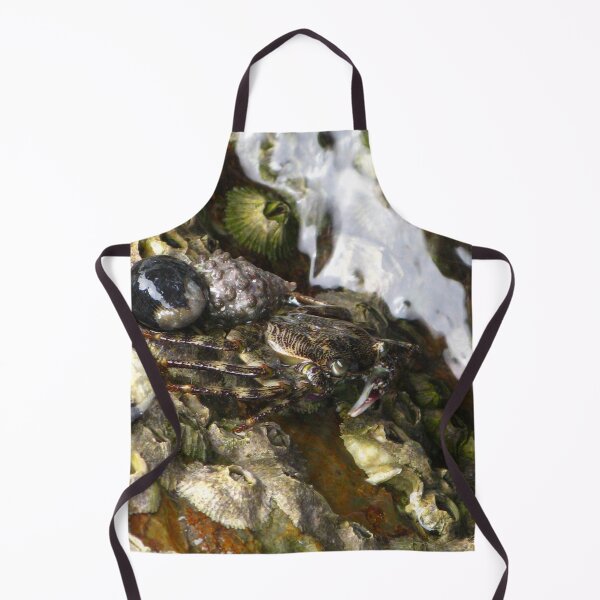 Item preview, Australian Rock Crab  designed and sold by Marilyn Harris.