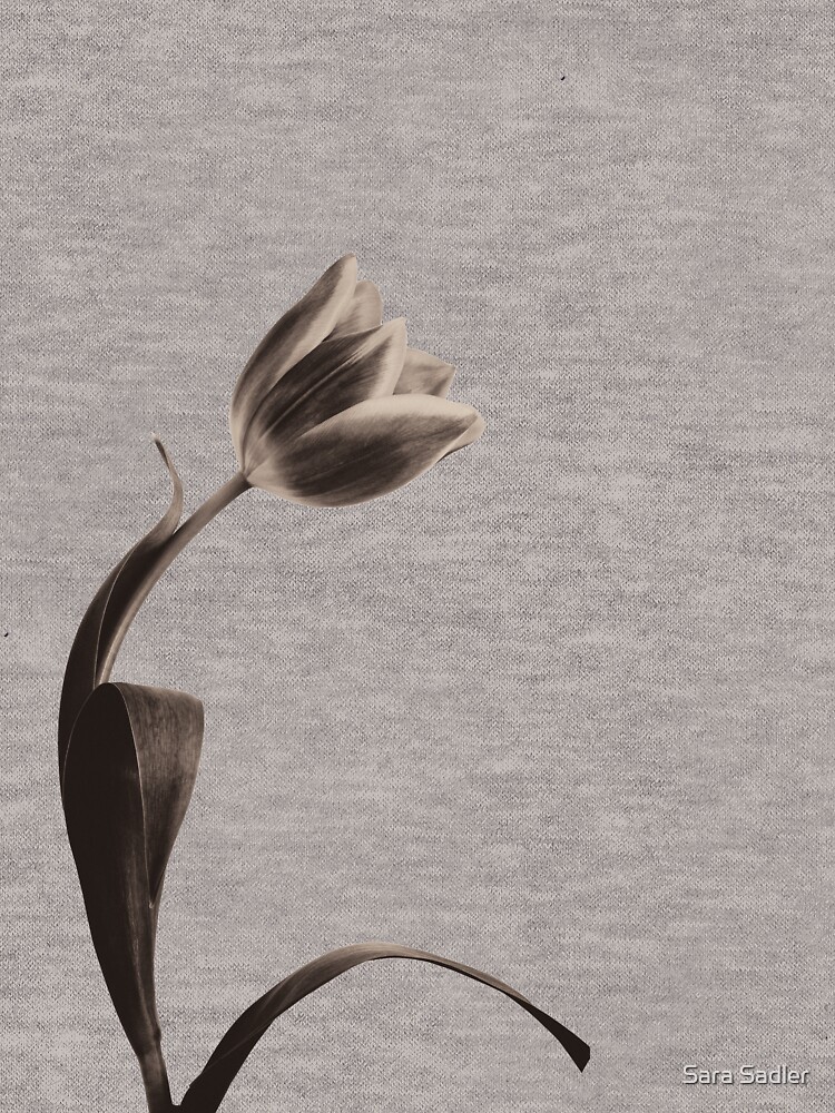 Antique Tulip by sadler2121