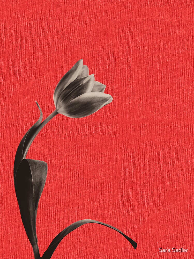 Antique Tulip by sadler2121