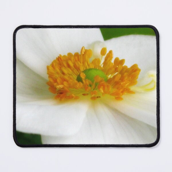 Item preview, White Windflower (Anemone hupehensis) designed and sold by Marilyn Harris.