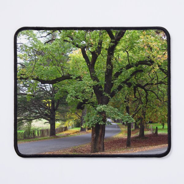 Item preview, Trees - Hill End Road Junction designed and sold by Marilyn Harris.