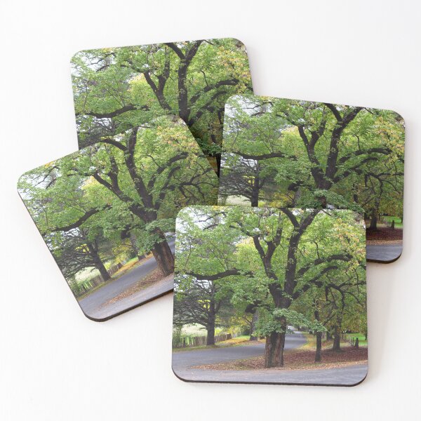Item preview, Trees - Hill End Road Junction designed and sold by Marilyn Harris.