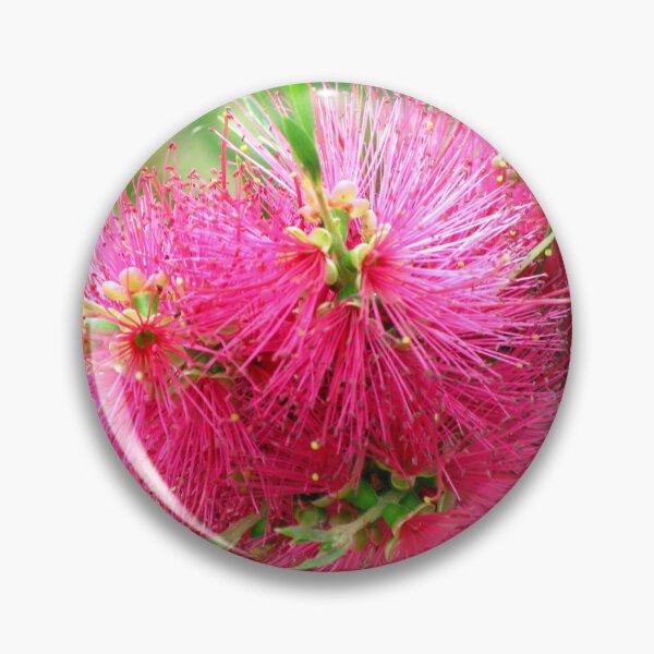 Item preview, Pink Prestige Bottlebrush designed and sold by Marilyn Harris.