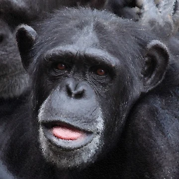 Artwork thumbnail, Chimp Raspberry by MathenaArt