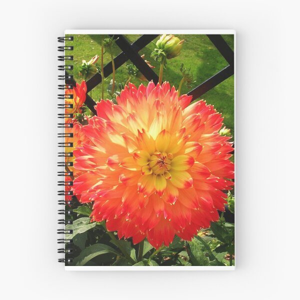 Item preview, Dahlia and Fence designed and sold by lezvee.