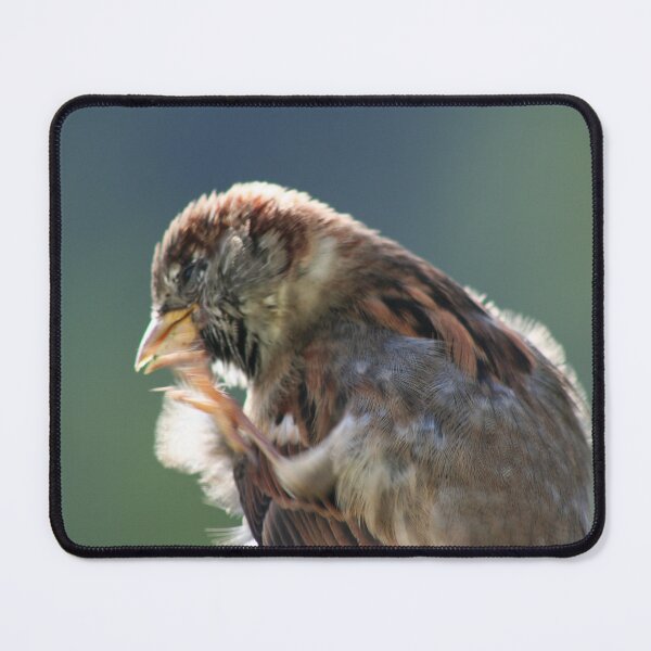 Item preview, English Sparrow designed and sold by Marilyn Harris.