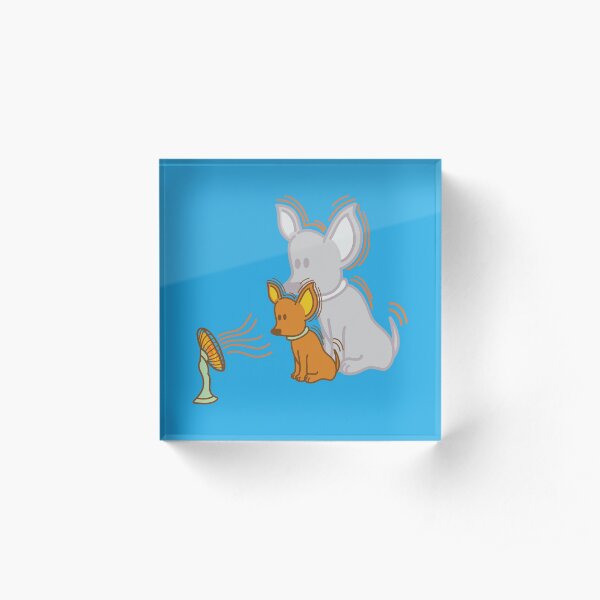 Acrylic Block