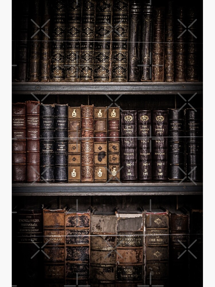 Photography - Old Books by ninthstreet