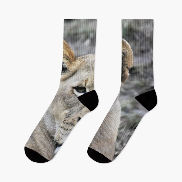 Item preview, Lone Lioness designed and sold by DonnaM.