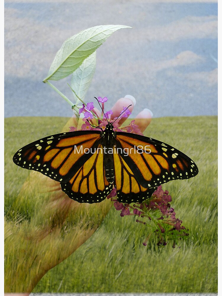 Mighty Monarch Butterfly Painting on 6x6 Canvas 