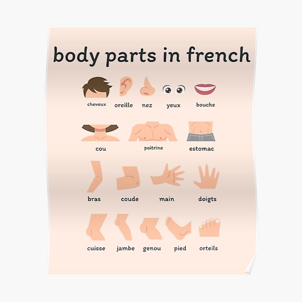 "educational body parts in french" Poster for Sale by artistfs