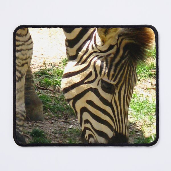 Item preview, Zebra designed and sold by Marilyn Harris.
