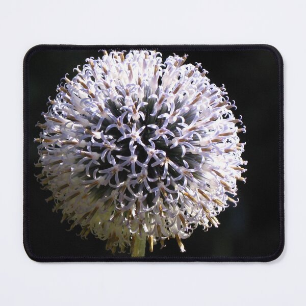 Item preview, Purple Allium  designed and sold by Marilyn Harris.