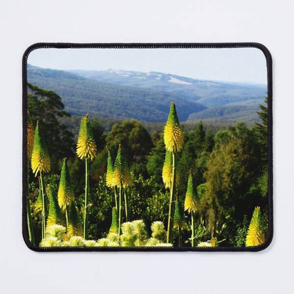 Item preview, Kniphofia - Blue Mountains Botanic Gardens designed and sold by Marilyn Harris.