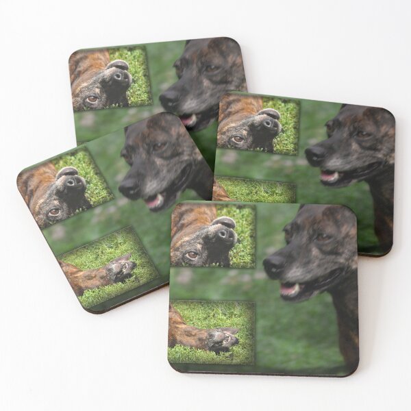 Item preview, Lovin the Moment designed and sold by michaelasamples.