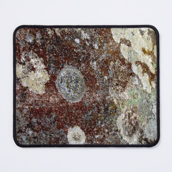 Item preview, Window into the Universe - Nature's Abstract designed and sold by Marilyn Harris.