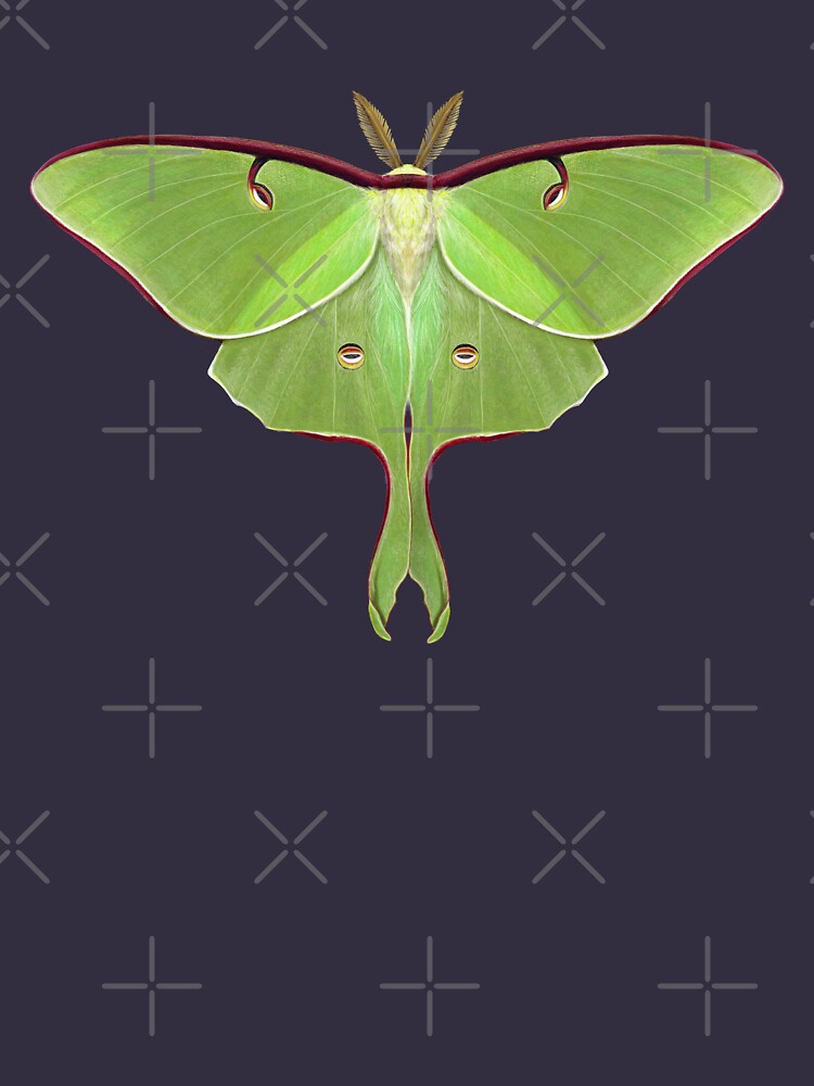 Thumbnail 3 of 3, Tank Top, Luna Moth Painting by Mary Capaldi designed and sold by Mary "Moth Monarch" Capaldi.
