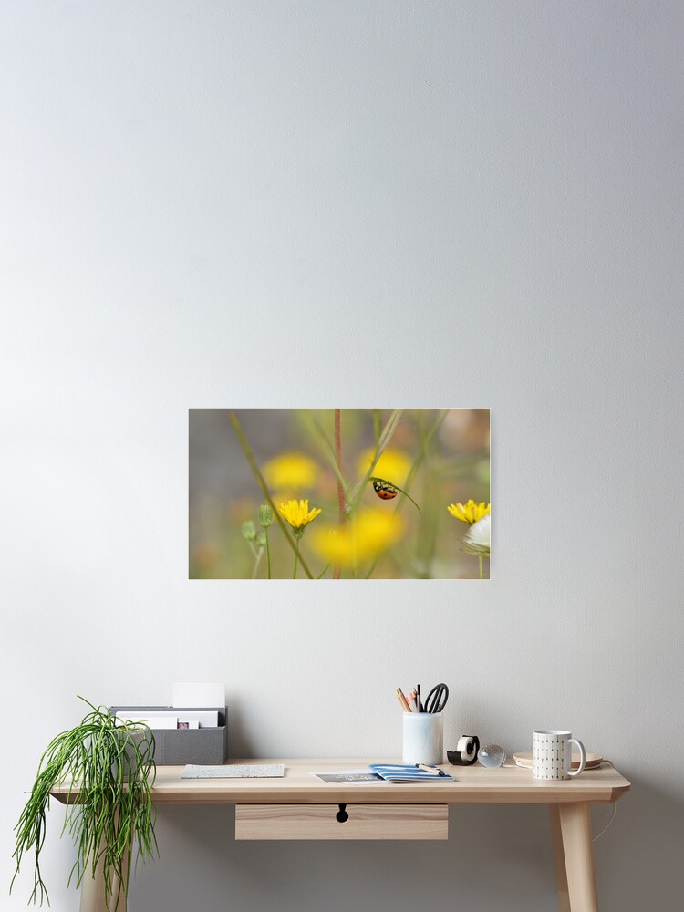 Thumbnail 2 of 3, Poster, Lady bug designed and sold by MartRPorter.