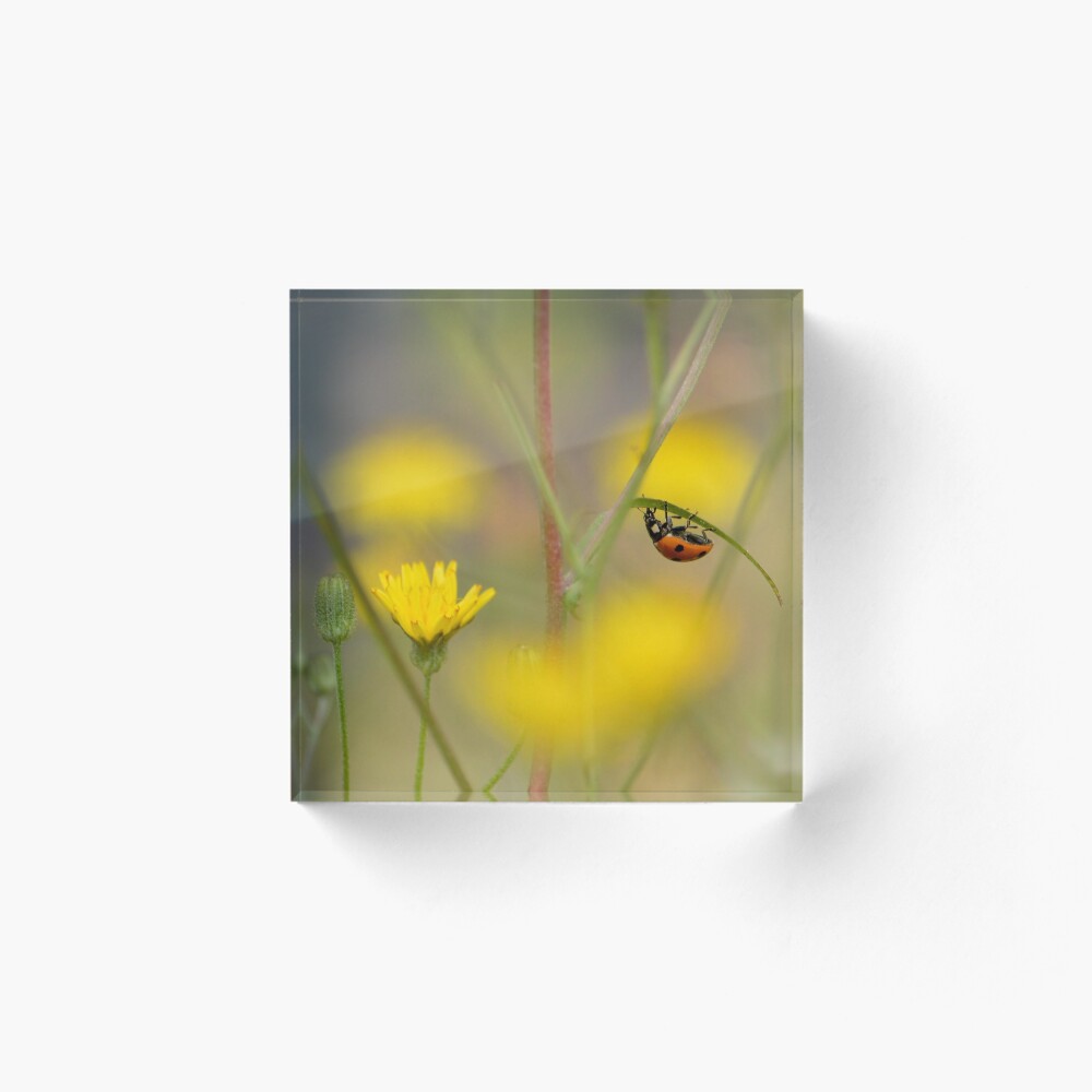 Item preview, Acrylic Block designed and sold by MartRPorter.