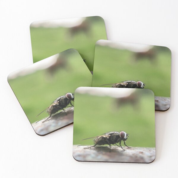 Item preview, House Fly Macro Shot designed and sold by Porosenok.