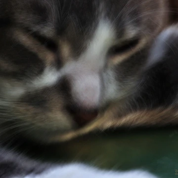 Artwork thumbnail, Button Naps by michaelasamples