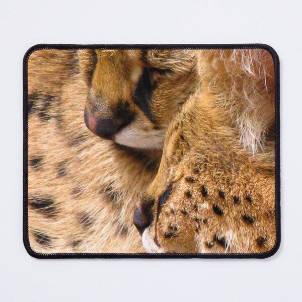 Item preview, African Servals (Leptailurus serval) designed and sold by Marilyn Harris.