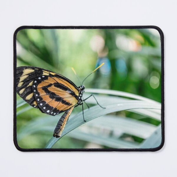 Item preview, Monarch Butterfly designed and sold by Sirenia Designs.