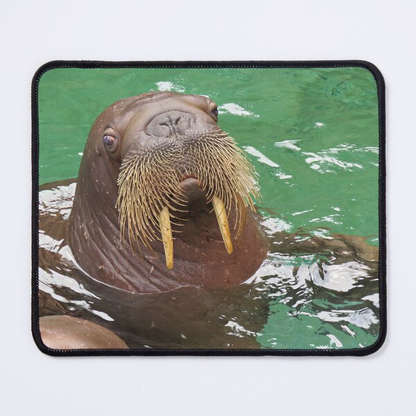 Item preview, Walrus Whiskers designed and sold by Linda Walsh.