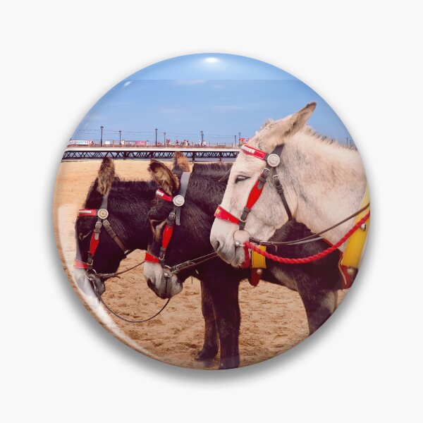 Item preview, Skegness Three Donkeys designed and sold by Alisonchambers2.