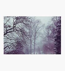 Winter Storm Photographic Print