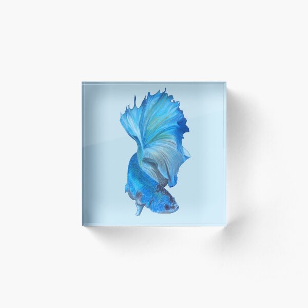 Blue Beta Acrylic Block