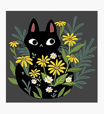 Black cat with flowers Photographic Print