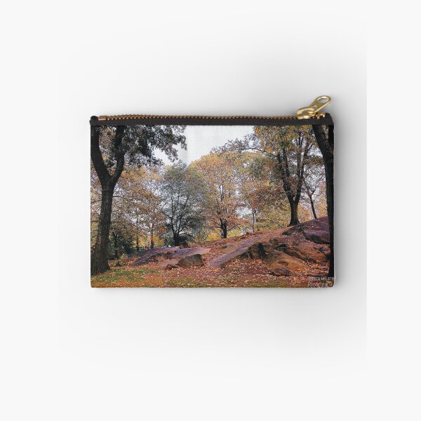 Item preview, Central Park in Autumn designed and sold by jwilliamsphoto.