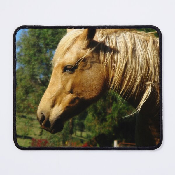Item preview, A Country Horse named Dobbin designed and sold by Marilyn Harris.