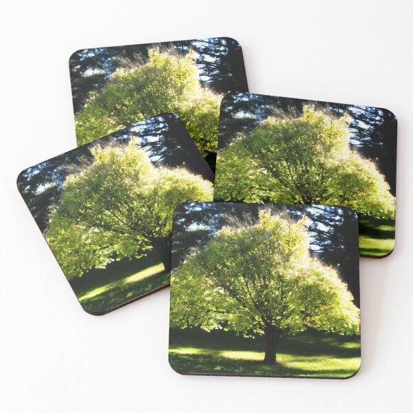 Item preview, Sunlit Tree designed and sold by Marilyn Harris.