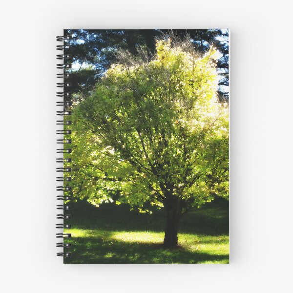 Item preview, Sunlit Tree designed and sold by Marilyn Harris.