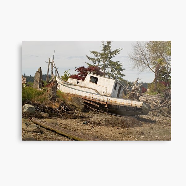 Ship Wreck Metal Print