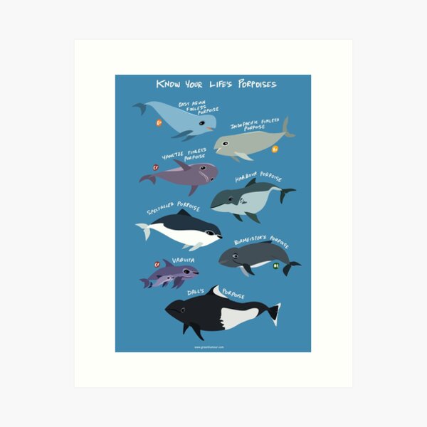 Item preview, Know your Life's Porpoises designed and sold by Green Humour.
