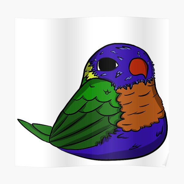 Lorikeet (rainbow) Poster