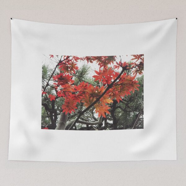 Item preview, Japanese Maple designed and sold by NinoSalina.