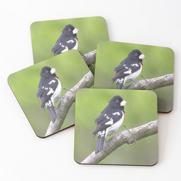 Item preview, Rose Breasted Grosbeak on a tree branch with a green blurred background designed and sold by BirdsnStuff.