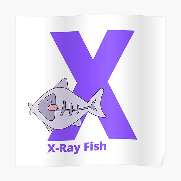 X-ray Fish - Alphabet and Animals