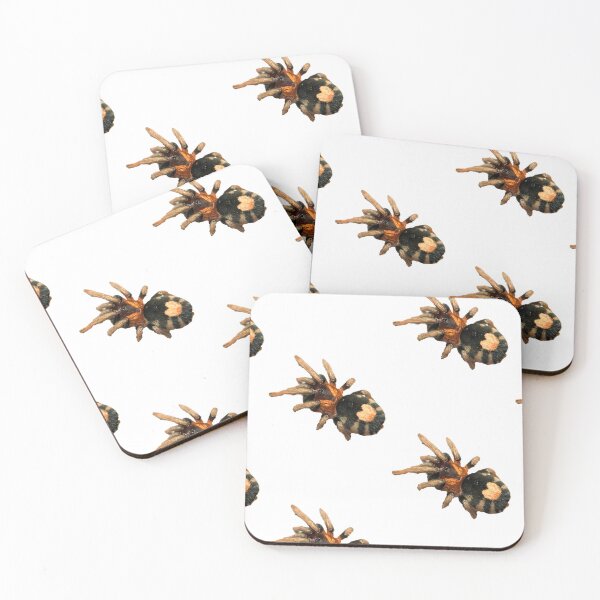 Item preview, Cyriocosmus elegans Tarantula designed and sold by CyriocosmusE.