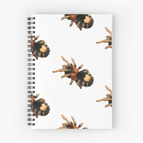 Item preview, Cyriocosmus elegans Tarantula designed and sold by CyriocosmusE.
