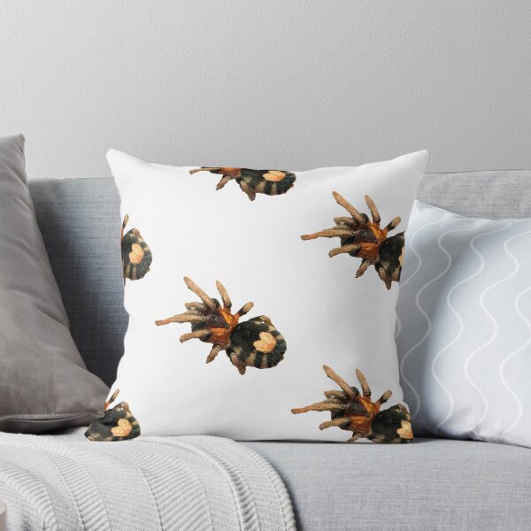Item preview, Cyriocosmus elegans Tarantula designed and sold by CyriocosmusE.