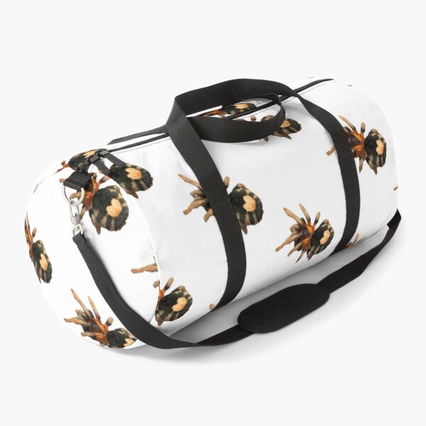 Item preview, Cyriocosmus elegans Tarantula designed and sold by CyriocosmusE.