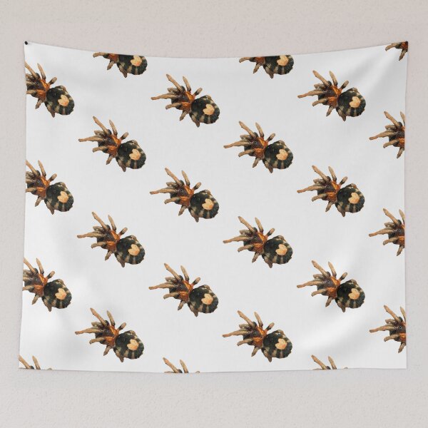 Item preview, Cyriocosmus elegans Tarantula designed and sold by CyriocosmusE.