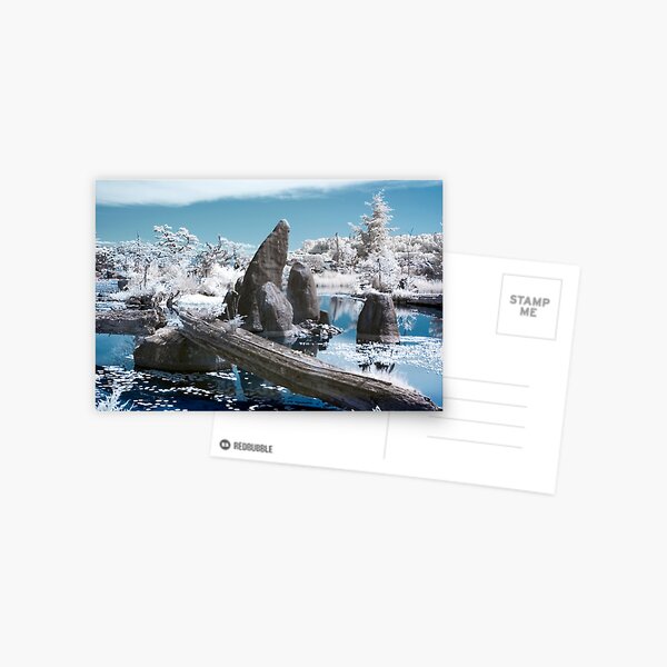 Touch of Heaven Postcard